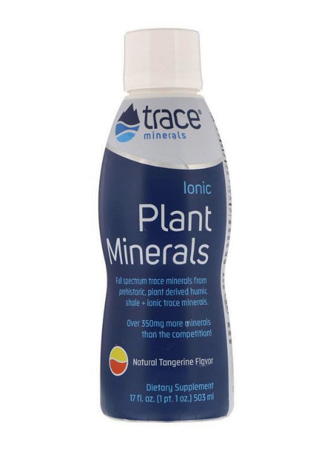 Trace Minerals Research Natural Tangerine Flavor Plant Minerals  - Image 1