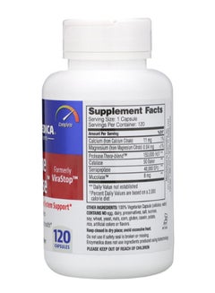 ENZYMEDICA Enzyme Defense - 120 Capsules  - Image 2