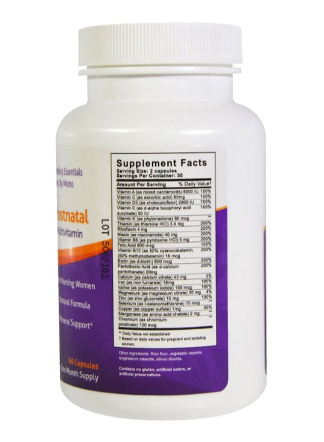 fairhaven health Nursing Postnatal Breastfeeding Multivitamin - 60 Capsules  - Image 2
