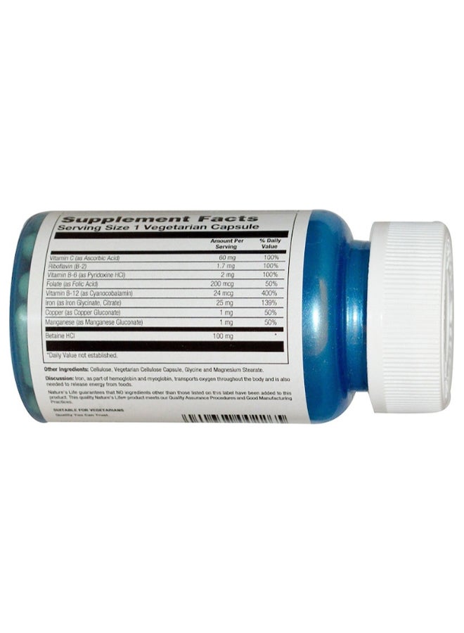 Nature's Life - Iron Complex Dietary Supplement - 50 Capsules - Image 1