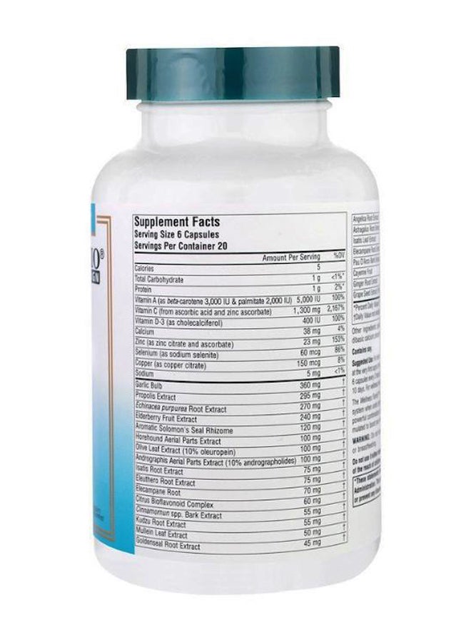 Source Naturals Wellness Formula Herbal Defense - 120 Capsules  - Image 2