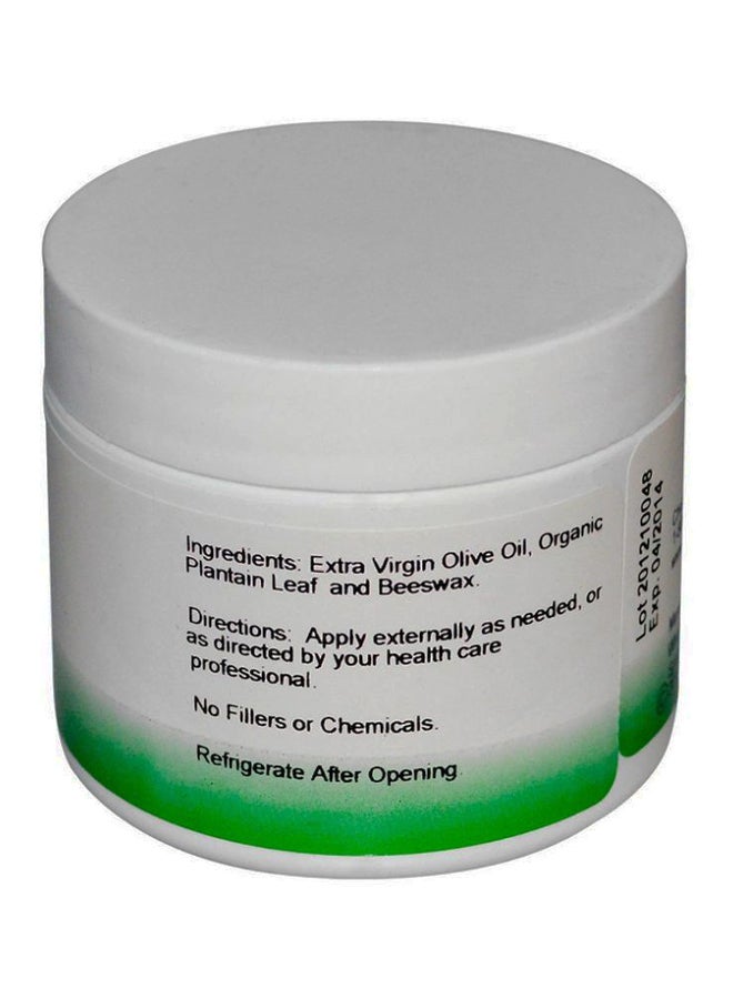 Christopher's Original Formulas - Stings And Bites Ointment - Image 1