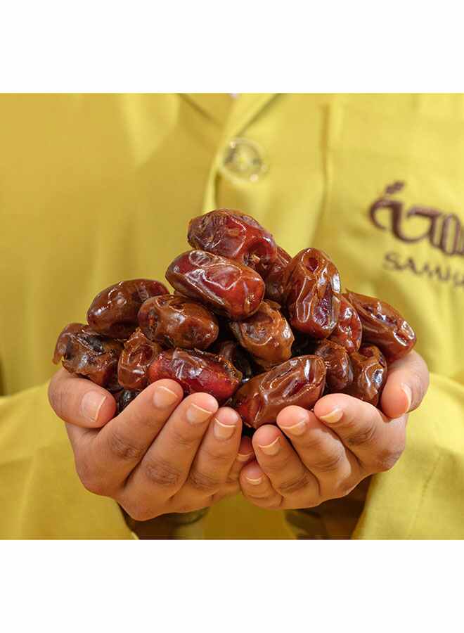 SAMHA - Camel Milk Chocolate Coated Dates With Pistachios 150grams - Image 1
