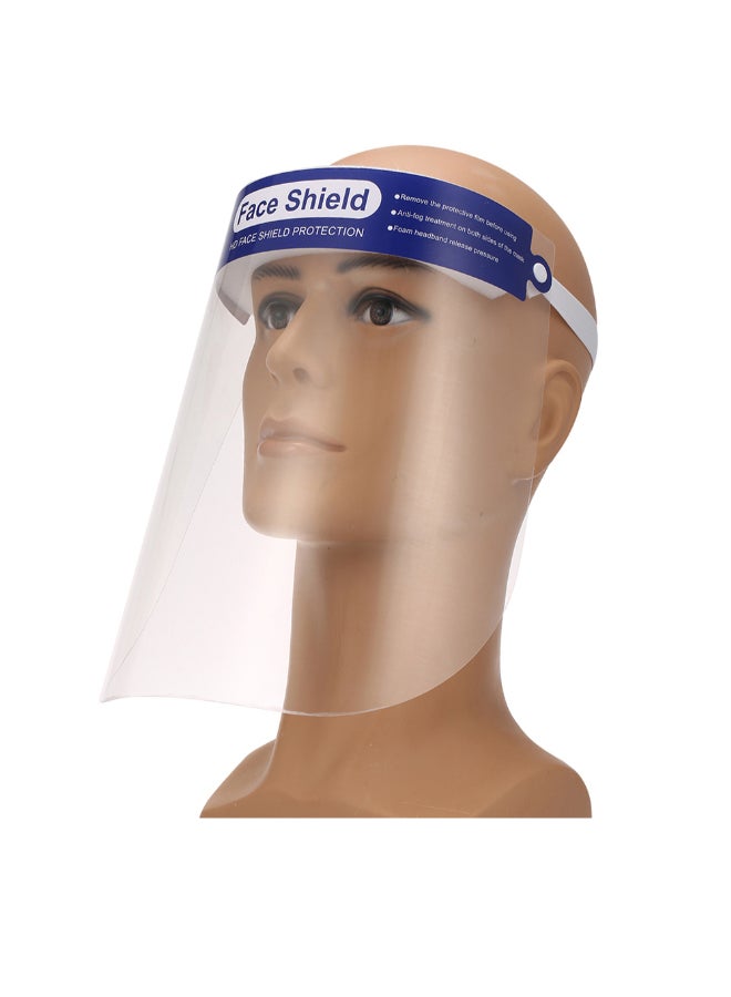 10-Piece Protective Face Shield