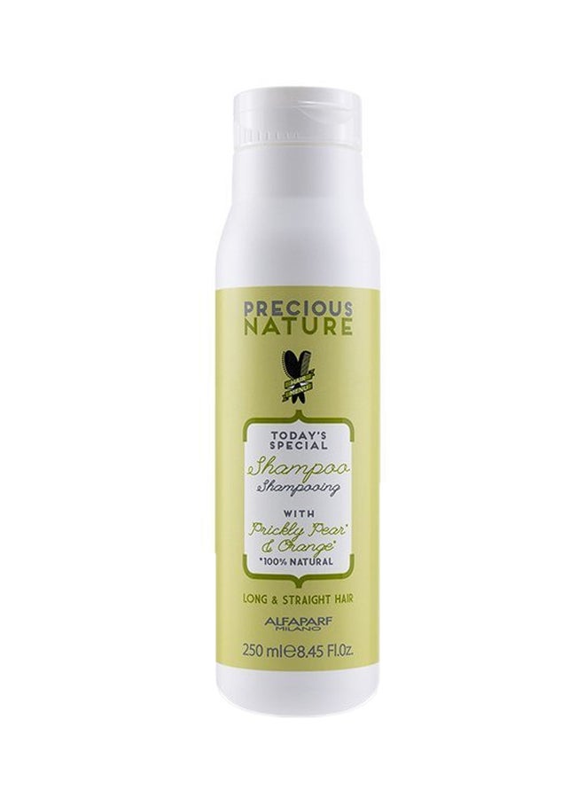 ALFAPARF Precious Nature Today's Special Shampoo 