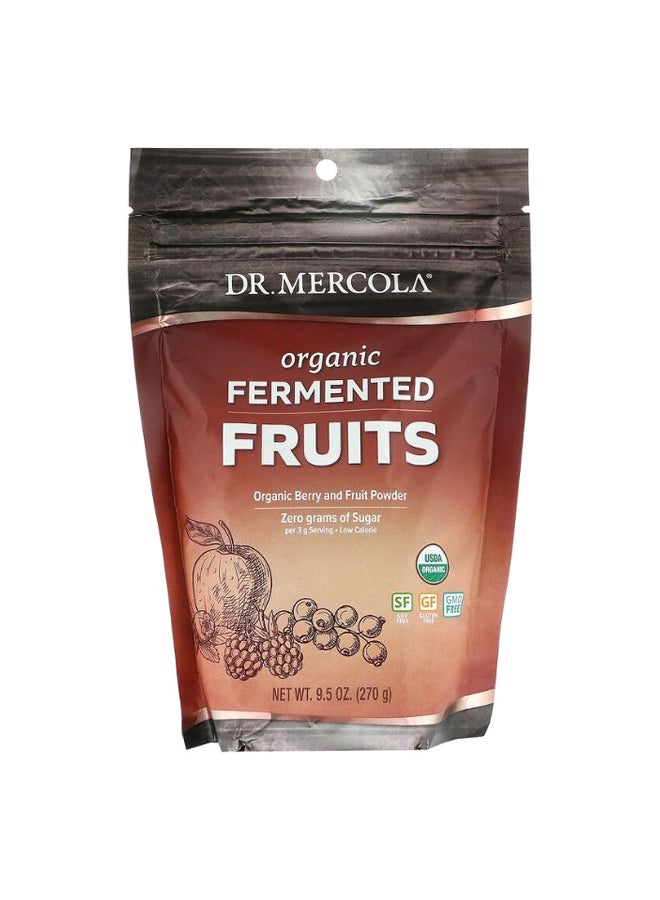 Dr. Mercola - Organic Fermented Berry And Fruit Powder - Image 1