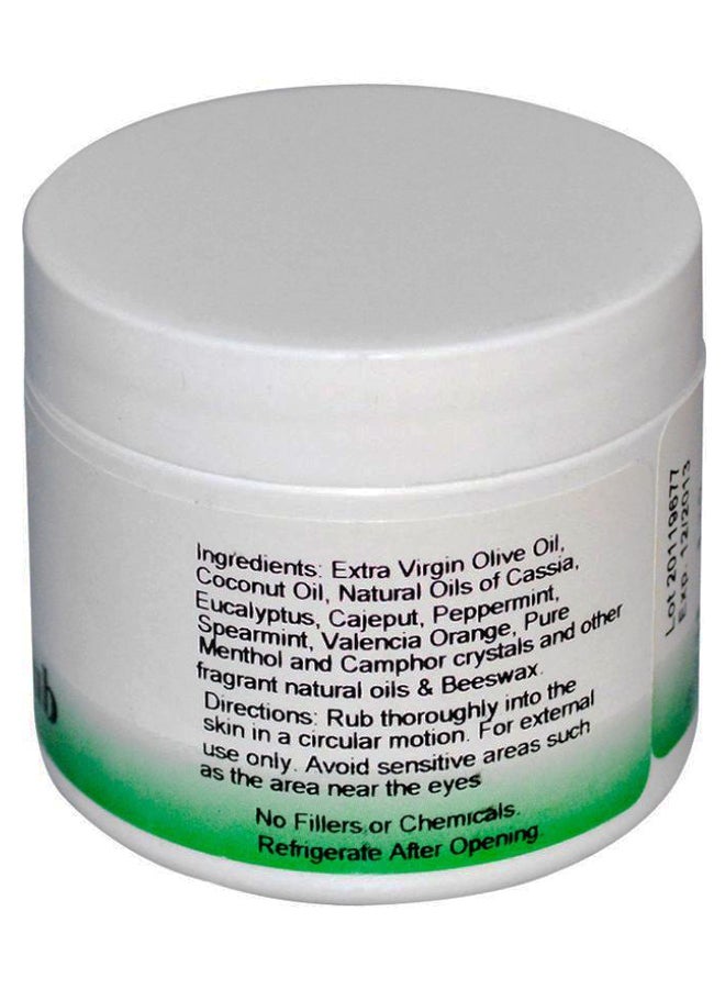 Christopher's Original Formulas - Sen Sei Menthol Rub - Image 1