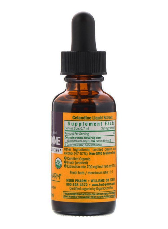 HERB PHARM Celandine Optimal Well-Being Herbal Supplement - Image 2