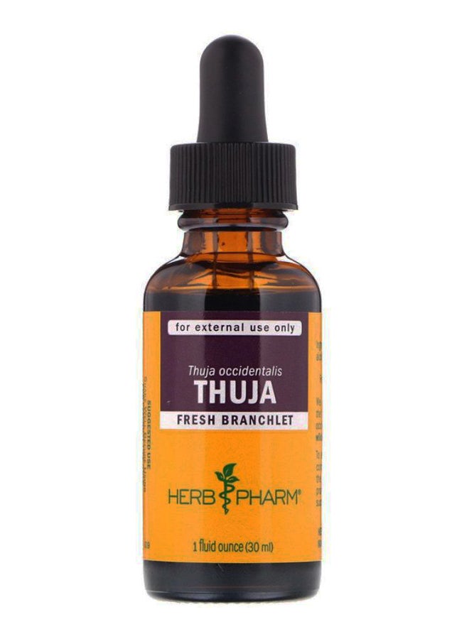 HERB PHARM Thuja Fresh Branchlet  - Image 1