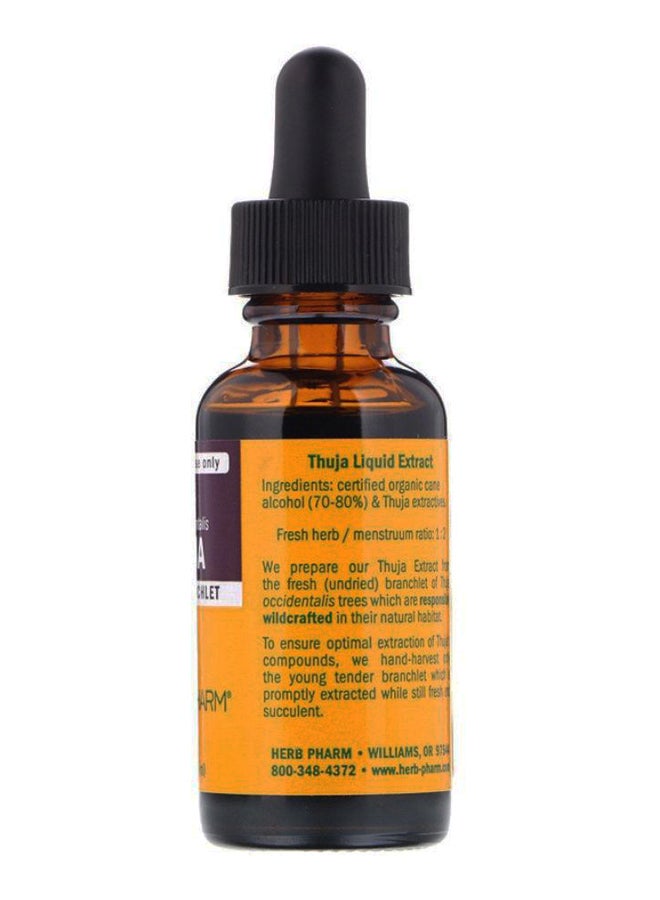 HERB PHARM Thuja Fresh Branchlet  - Image 2