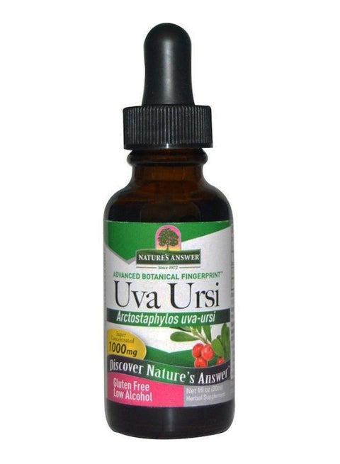 Uva Ursi