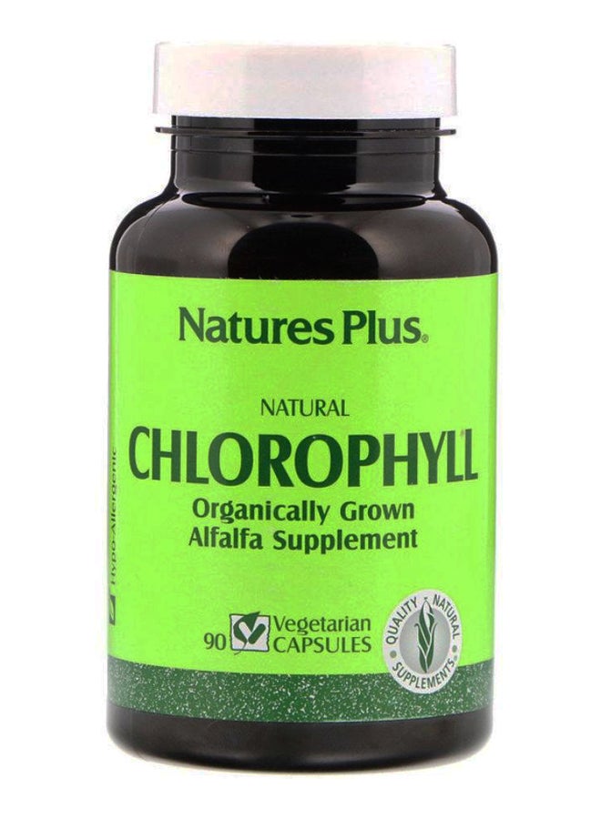 Natures Plus - Natural Chlorophyll Alfalfa Supplement - 90 Vegetarian Capsules - Image 1