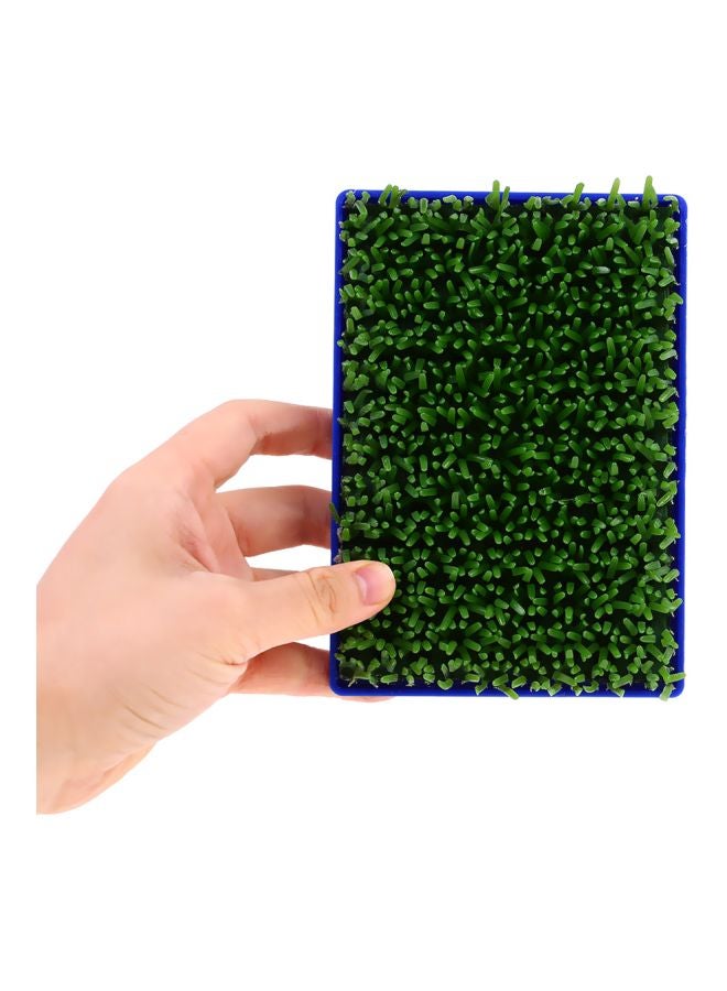 Hand-Held Painting Brush Tool Green/Blue 16cm  - Image 4
