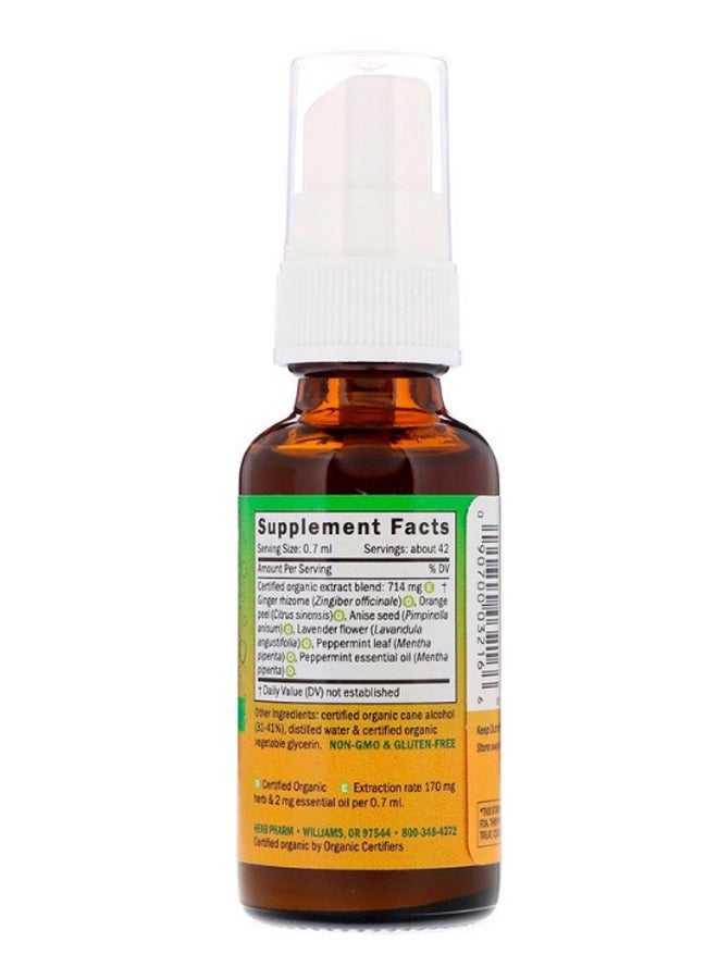 HERB PHARM Not Now Nausea Herbal Supplement  - Image 2