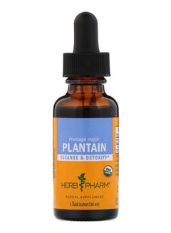 HERB PHARM Plantain Fresh Leaf Cleanse And Detoxify Supplement  - Image 1