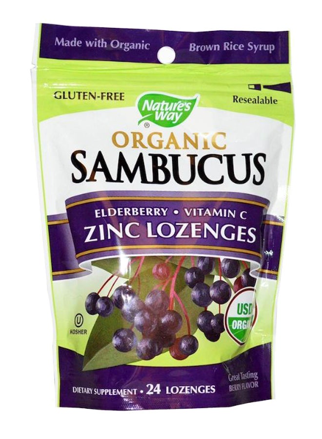 ناتشور واي مكمل غذائي أقراص استحلاب زنك بالسمبوس مع التوت البري العضوي اللذيذ - 24 قرص استحلاب - Image 1