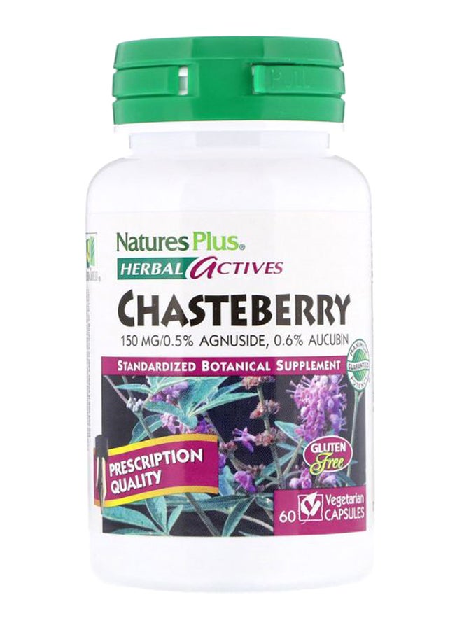 Natures Plus Herbal Actives Chasteberry - 60 Vegetarian Capsules - Image 1