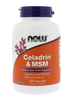 Celadrin And MSM - 120 Capsules - v1587198668/N37101653A_1