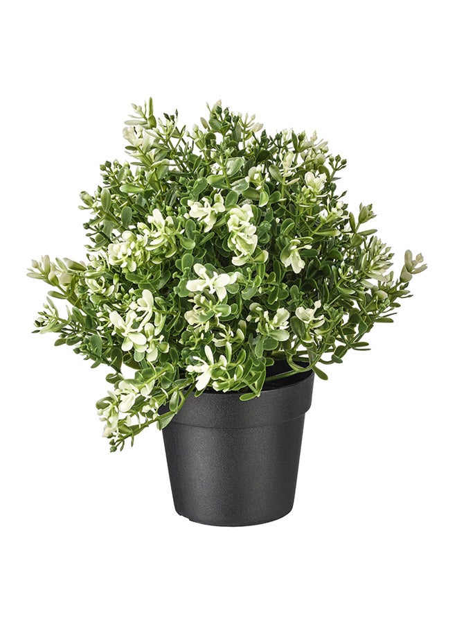 Generic Artificial Potted Plant Green/Black  - Image 1