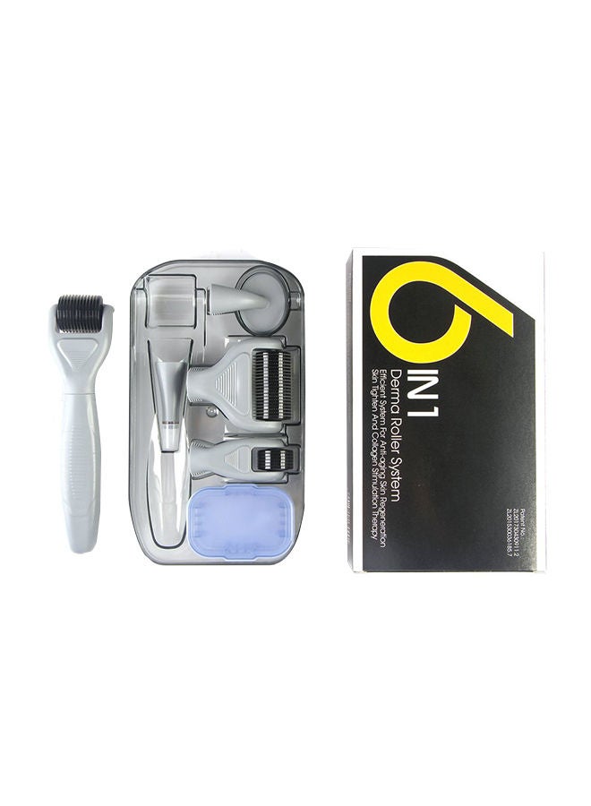 6-In-1 Micro-Needle Facial Roller Set Grey - Image 1