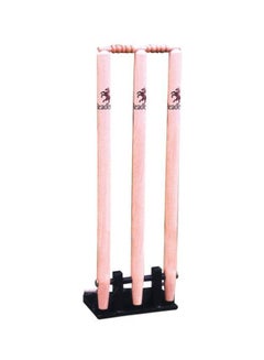 Spring Return Cricket Stumps With Wickets