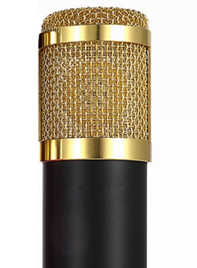 Professional Recording Studio Condenser Microphone Black/Gold - Image 2