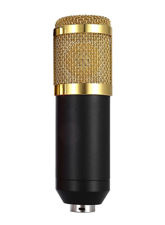 Professional Recording Studio Condenser Microphone Black/Gold - Image 1