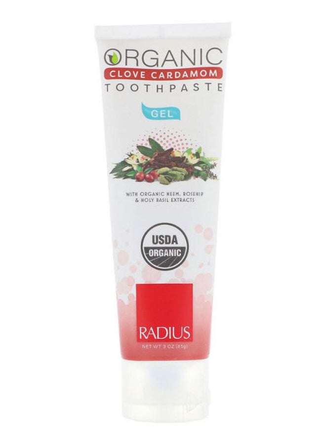 Clove Cardamom Gel Toothpaste - v1587678424/N37446581A_1