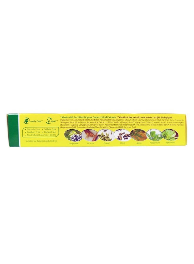 ORGANIX SOUTH Naturals Neem Therap With Mint Neem Toothpaste  - Image 2