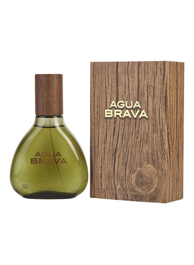 Agua Brava EDC 100ml - v1587977527/N37552981A_1