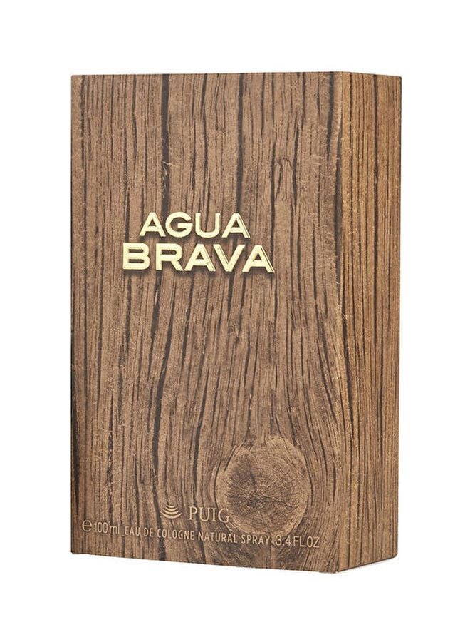 Agua Brava EDC 100ml - v1587977527/N37552981A_2