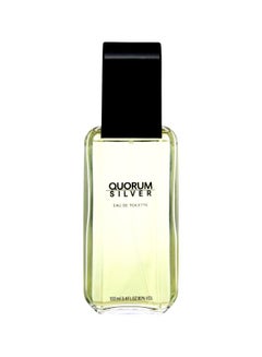 ANTONIO PUIG Quorum Silver EDT 100ml  - Image 1