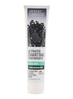 Fresh Mint Activated Charcoal Toothpaste - v1588067287/N37607135A_1