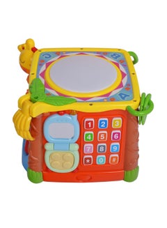 Intelligence Activity Cube