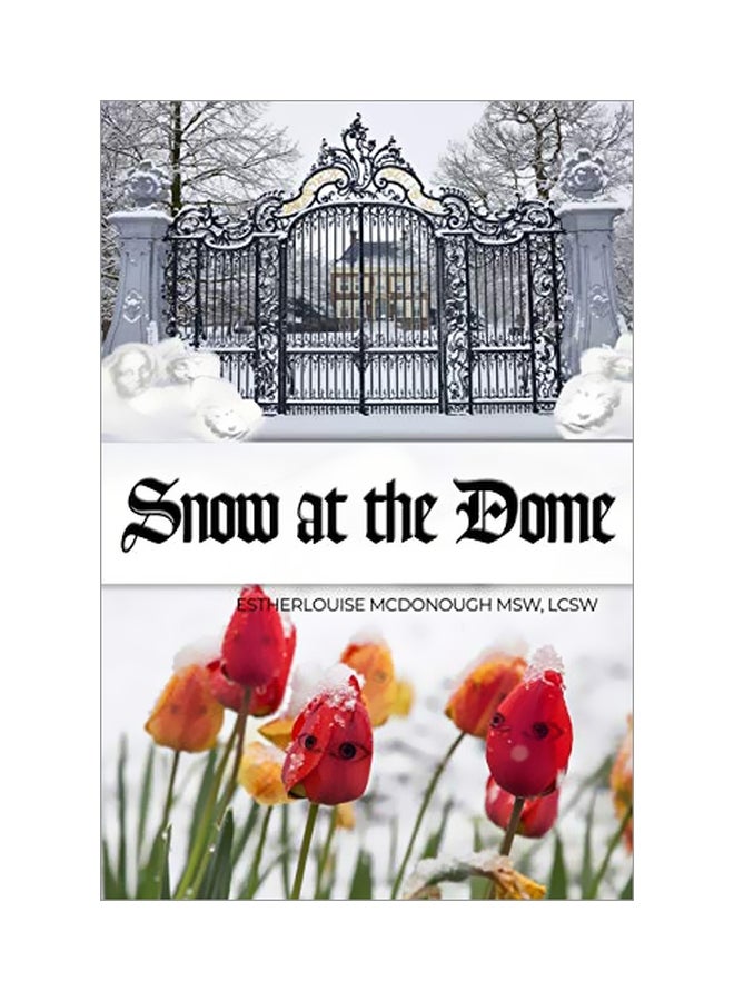 Snow At The Dome paperback english - 04-Feb-19 