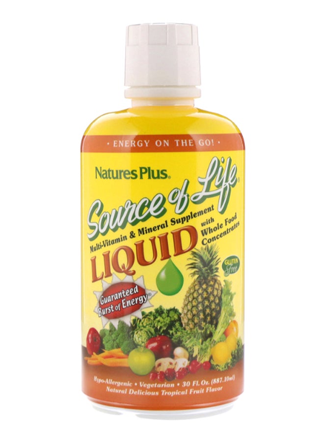 Natures Plus Source of Life Liquid Multi-Vitamin And Mineral Supplement - Image 1