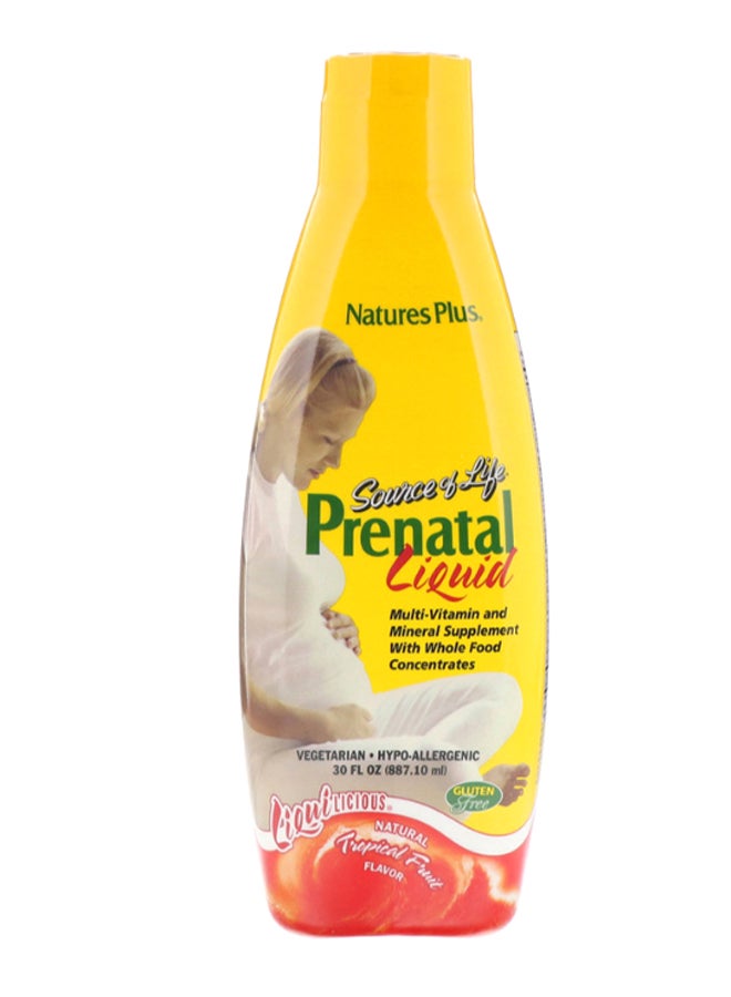 Natures Plus Source of Life Natural Tropical Fruit Flavor Prenatal Liquid - Image 1