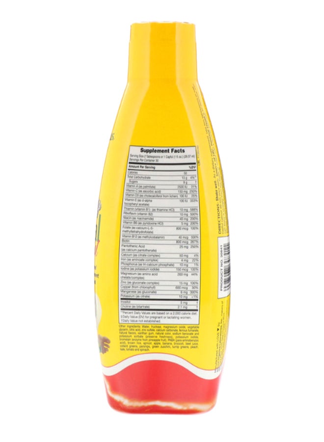 Natures Plus Source of Life Natural Tropical Fruit Flavor Prenatal Liquid - Image 2