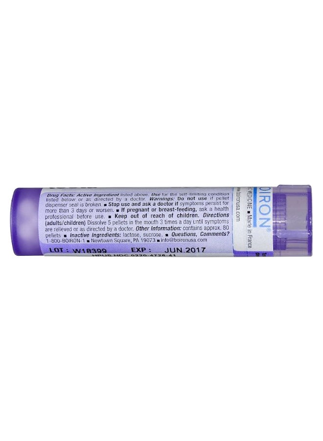 Boiron Spongia Tosta 200CK - 80 Pellets - Image 2