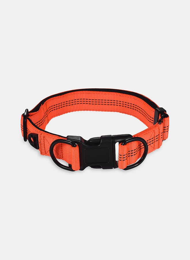 Carno Dog Collar Strap Orange/Black