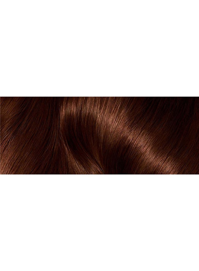 L'OREAL PARIS - L'Oreal Paris Casting Crème Gloss, 535 Mahogany Golden Light Brown 180ml - Image 1