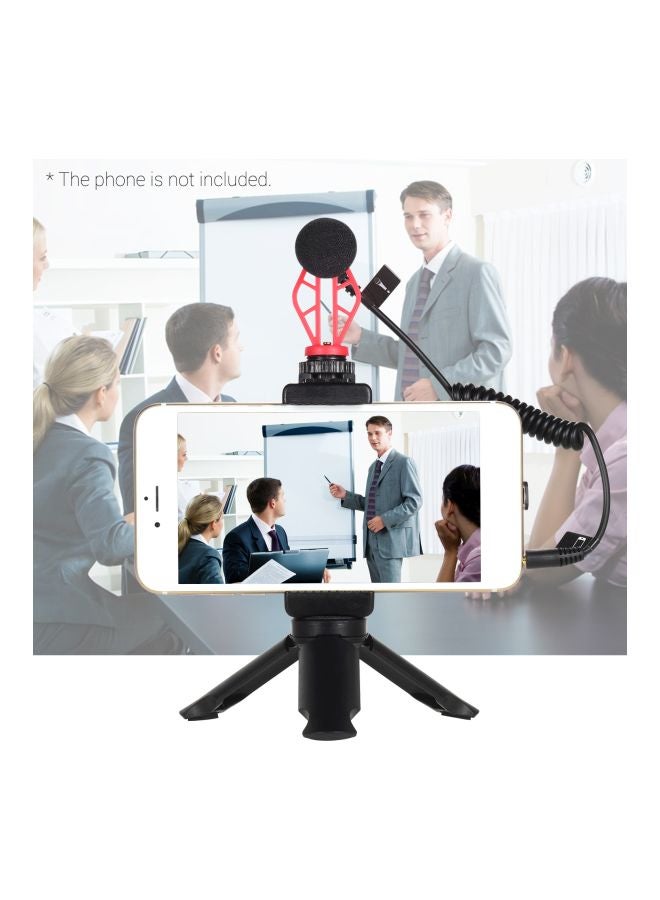 Hyper-Cardioid Video Record Microphone With Shock Mount Black