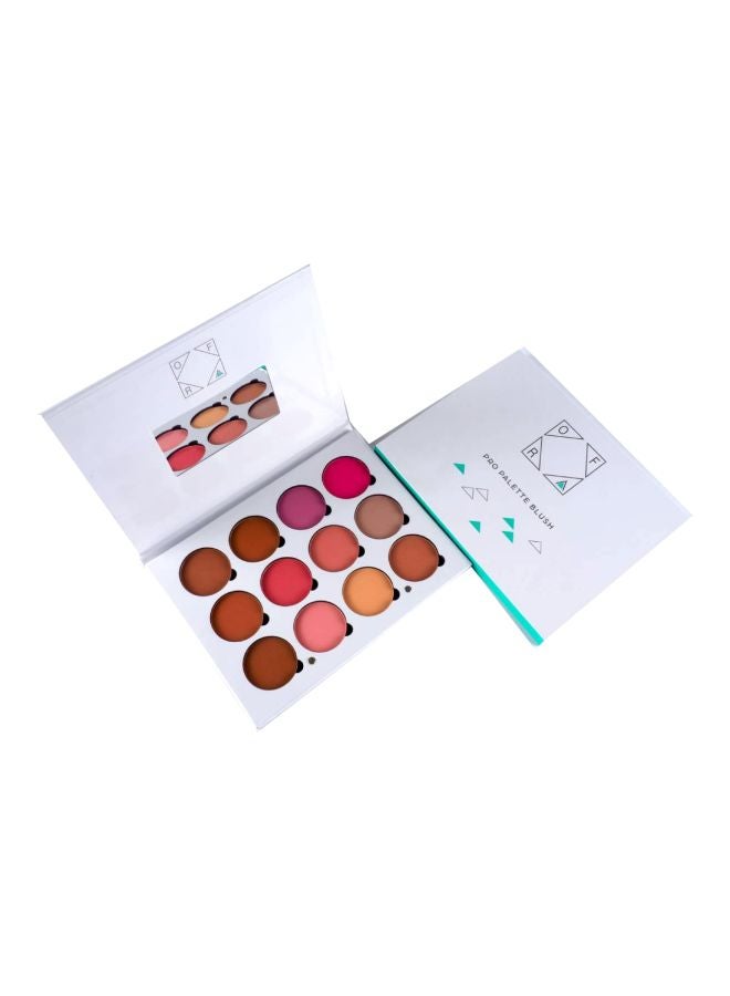 OFRA Pro Palette Blush Multicolour - Image 1