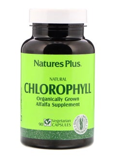 Nature's Plus Natural Chlorophyll - 90 Vegetarian Capsules 