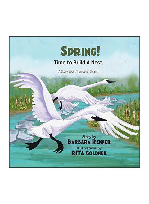 Spring! Time To Build A Nest paperback english - 22-Feb-19