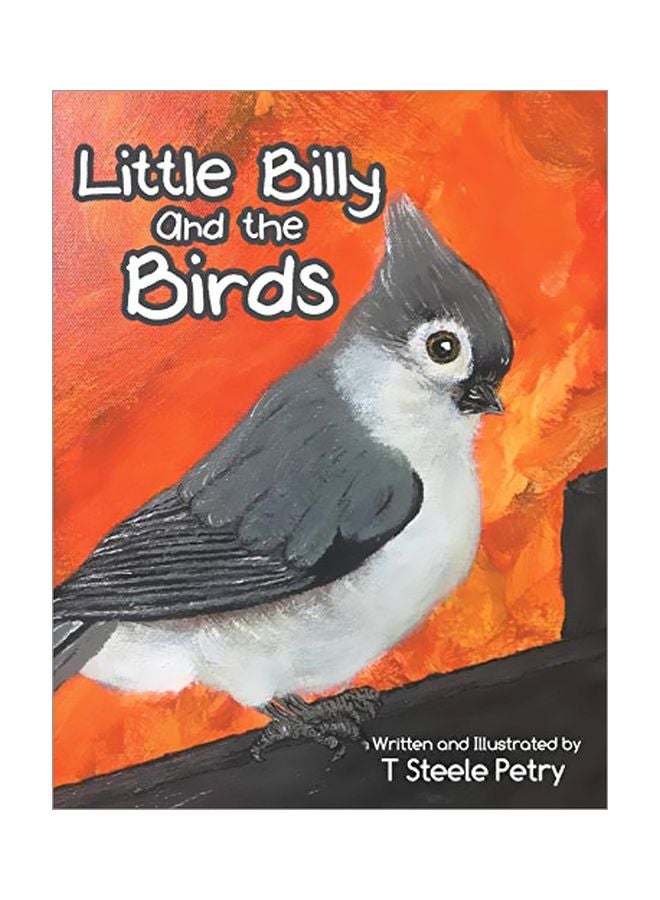 Little Billy And The Birds paperback english - 18 July 2019