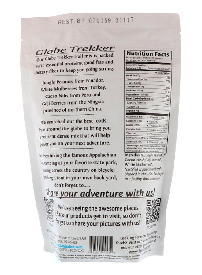Foods Alive Globe Trekker Hit The Trail Mix 227grams - Image 2
