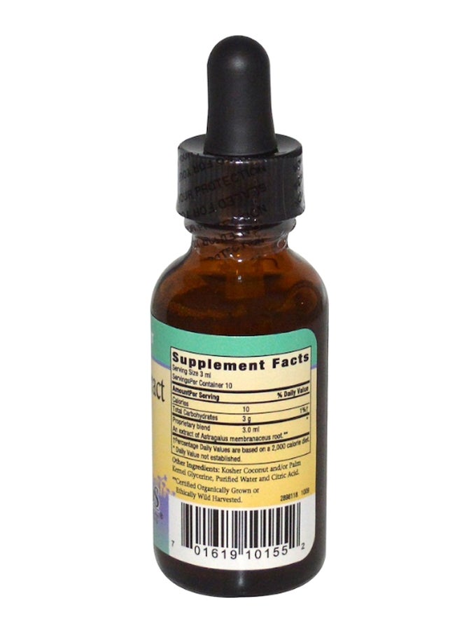 Herbs For Kids - Astragalus Extract Dietary Supplement - Image 1