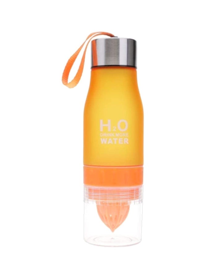 H2O Water Bottle With Fruit Juice Infuser 24x7cm