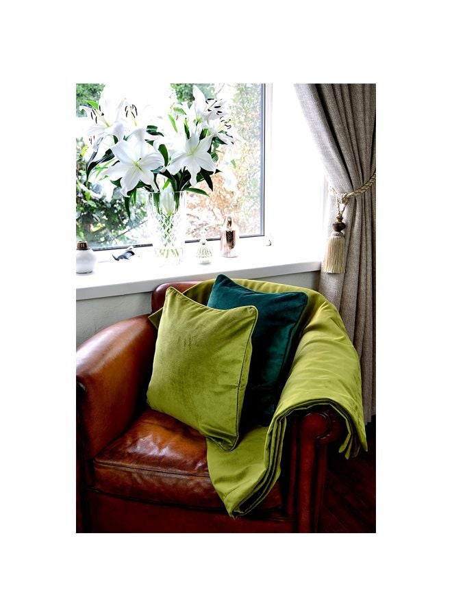 REGAL IN HOUSE Decorative Velvet Cushion polyester Lime Green 43x43cm  - Image 4